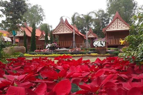 a field of red flowers in front of a building at Naya Park View Hotel in Ban Non Muang