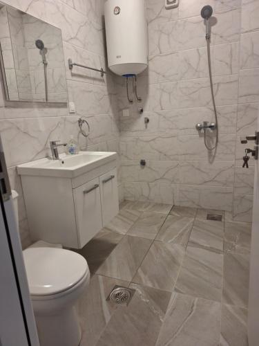 a bathroom with a toilet and a sink and a shower at Donna Apartment in Star Dojran