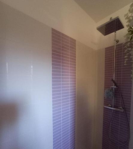 a bathroom with a shower with purple tile on the wall at Chez Dona in Cieurac