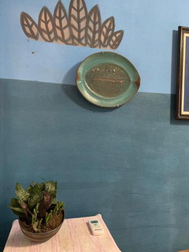a green plate hanging on a wall next to a plant at Chalé Sol in Lençóis