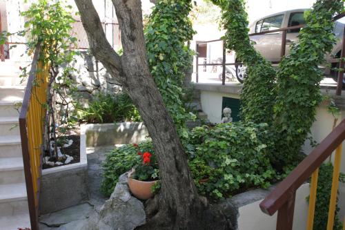 a tree in a garden next to a building at Apartment Topic in Baška Voda