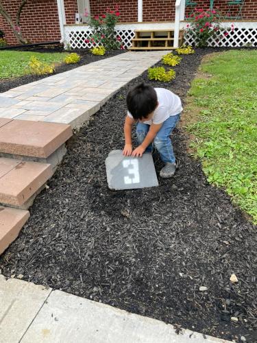 a young boy playing with a skateboard in the dirt at The Rene Carr House in Elkton