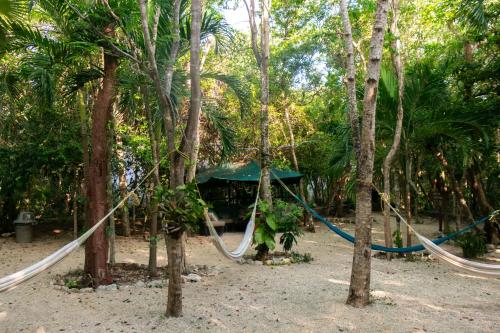 a hammock in the middle of a forest of trees at Loft Pelicano - Santuario Apartments in Chemuyil