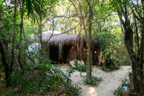 a hut in the middle of the forest at Loft Pelicano - Santuario Apartments in Chemuyil