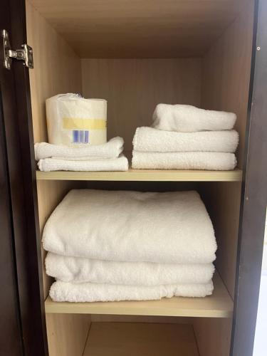 a closet filled with towels and toilet paper at Gorgeous Furnished Apartments near Texas Medical Center & NRG Stadium in Houston