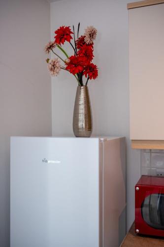 a vase with red flowers sitting on top of a refrigerator at Mory Homes Modern 2 BDR Flat Private Parking in Central MK in Milton Keynes