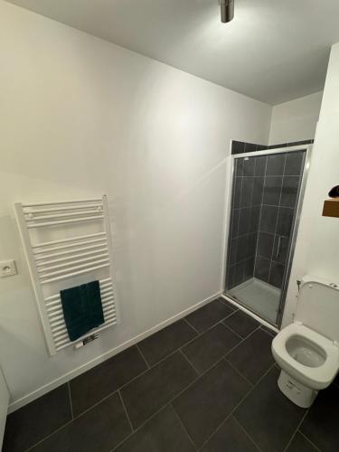 un baño con inodoro y ducha en Modern garden apartment, en Labenne