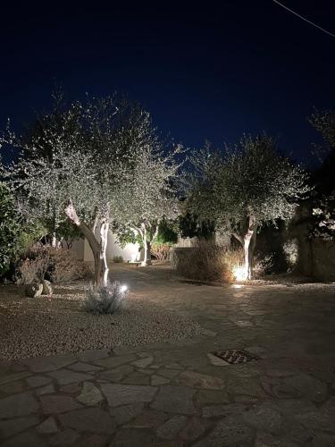 a row of trees at night with lights at Villa INARIME in Ischia