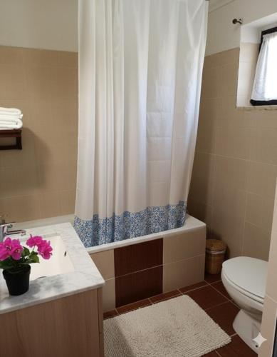 a bathroom with a toilet and a shower curtain at Moradia de Campo Isolada com Piscina a 5km da Praia in Alcantarilha
