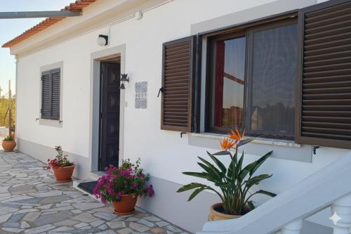 a white house with windows and potted plants at Moradia de Campo Isolada com Piscina a 5km da Praia in Alcantarilha