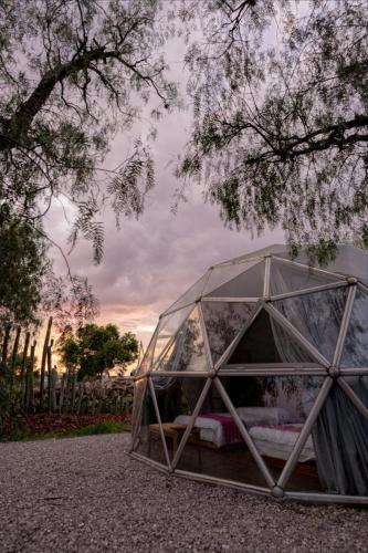 Fotografie z fotogalerie ubytování Raíces México v destinaci Sabino