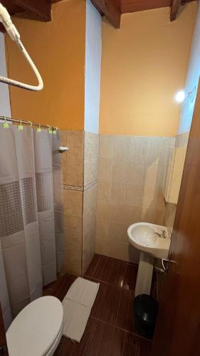 Vannituba majutusasutuses Residencia Ríos