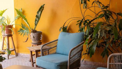 a blue chair in a room with lots of plants at Casa Centrica Con Estacionamiento in Cedro