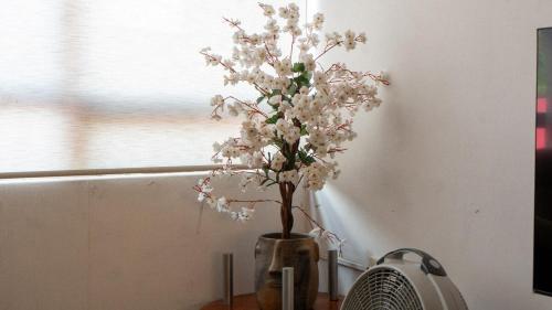 a vase filled with white flowers on a table at Casa Centrica Con Estacionamiento in Cedro