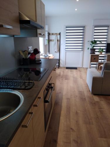 Η κουζίνα ή μικρή κουζίνα στο Vkls Appartement 1