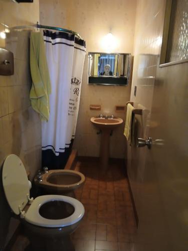 a small bathroom with a toilet and a sink at carmon colon 1 ambiente y medio in Mar del Plata