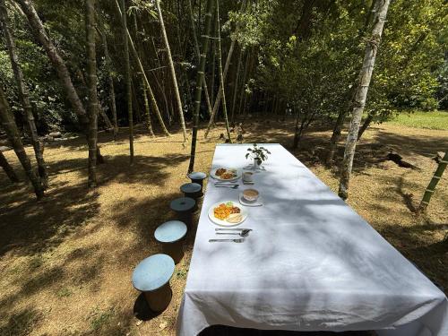 a long white table with plates of food on it at Hotel Selva Cristal in San Carlos