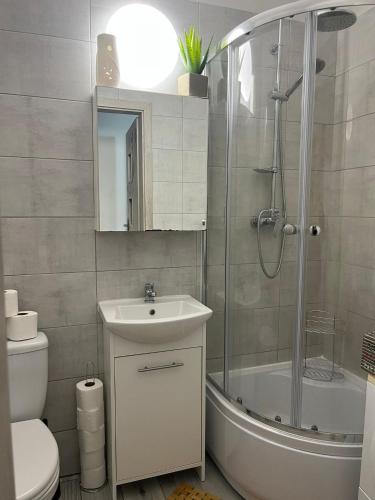 a bathroom with a shower and a sink and a toilet at Coconut Apartment - 5 min to Baltic Sea in Gdańsk