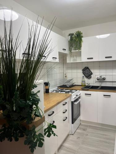 a kitchen with white cabinets and potted plants at Coconut Apartment - 5 min to Baltic Sea in Gdańsk