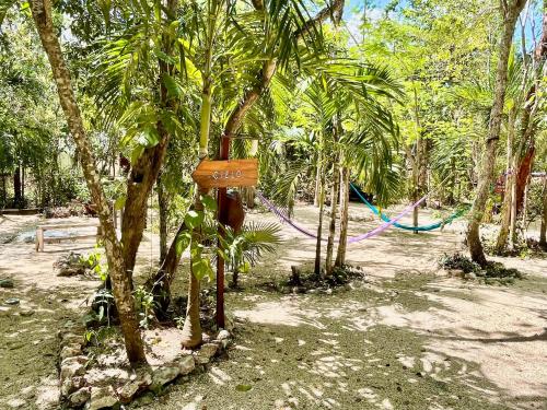 a sign in the middle of a forest with trees at Loft Pelicano - Santuario Apartments in Chemuyil