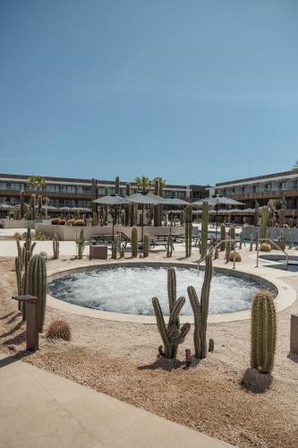 a large pool with cacti in a courtyard with a building at Secrets Baby Beach Aruba Adults Only in Ceru Colorado