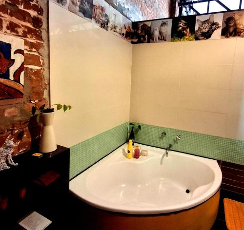 Φωτογραφία από το άλμπουμ του Pet-friendly City Loft Apartment στο Κέιπ Τάουν