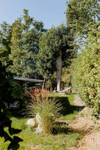 a garden with a tree and some grass and bushes at Jeres Eget Private Retreat Tæt På Vandet in Dronningmølle