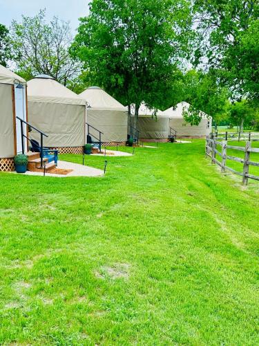 a group of tents in a field with grass at Boho Bliss Yurt - Unit # 4 in Woodway