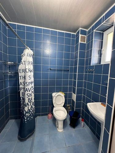 a blue tiled bathroom with a toilet and a sink at Atlas in Cholpon-Ata