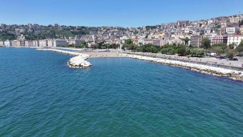 Φυσικό τοπίο κοντά σε αυτό το διαμέρισμα