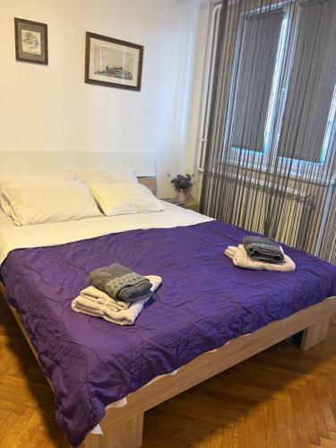a bedroom with a bed with purple sheets and a window at Apartments Sat in Belgrade