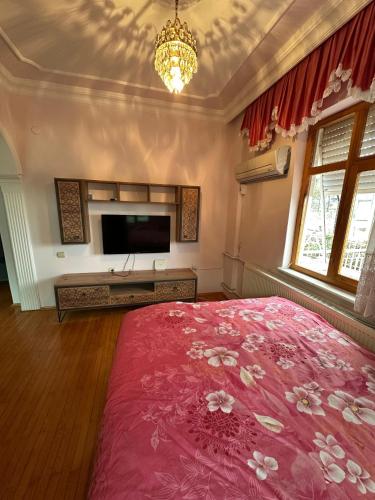 a bedroom with a large pink bed and a television at Villarome in Çakırlar