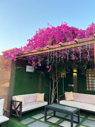 a pergola with purple flowers on a building at درة ينبع 