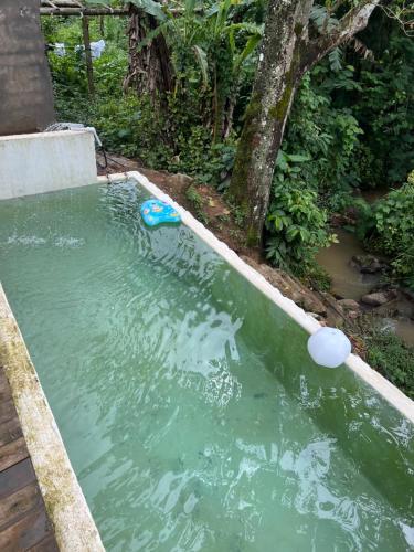 Manolo FortichにあるTiny House in Dahilayanの青球の水のプール