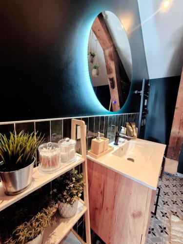 a bathroom with a sink and a mirror at Appartement Spa et Terrasse in Dijon