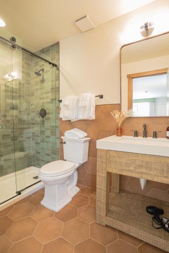 a bathroom with a toilet and a shower and a sink at Petty Ranch Inn in Springdale