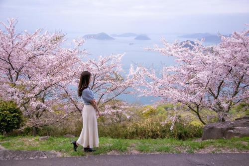 a woman standing on a hill looking atakura trees at UDON na HOTEL 琴平 in Kotohira