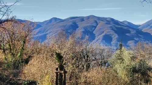 a view of a mountain range with trees and mountains at Tiny House at Villa Ariola in Irola