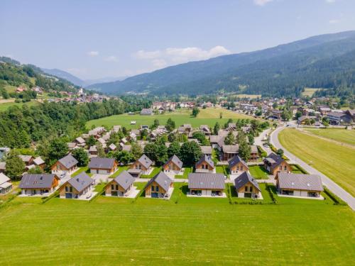 an aerial view of a village with houses at Mountain Chalet Chapeau in Sankt Lorenzen ob Murau