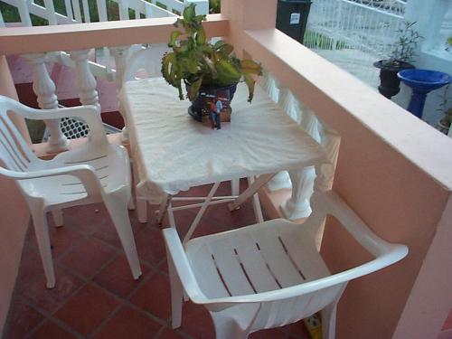 a table with two chairs and a plant on it at LeMarida Suites in Saint Peter