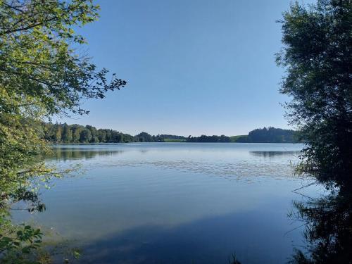 a view of a large lake with trees in the background at Kern's Hoamat in Soyen