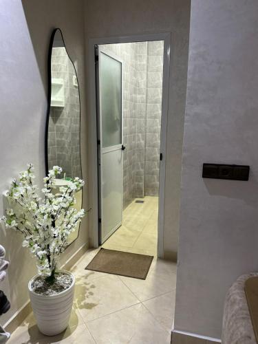 マルティルにあるMooie appartement Martilの鉢植えの植物と鏡付きのバスルーム