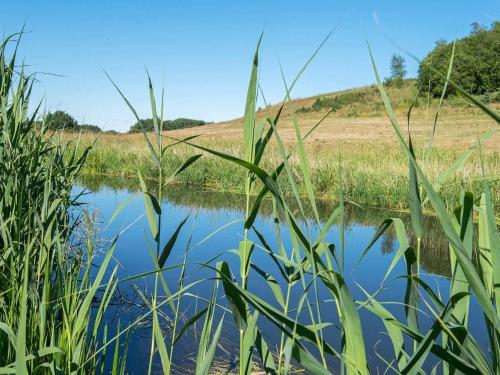 a body of water with tall grass in the foreground at 6 person holiday home in Brædstrup-By Traum in Brædstrup