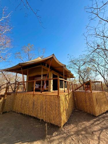 a building with a roof on top of a field at Camp Lilac Mikumi in Mikumi National Park