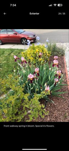 a garden with flowers and a red car on a street at The Hope Room in Redding