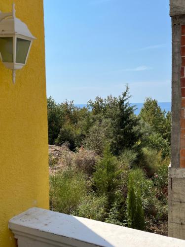 a view of a garden from a building with a street light at Apartmani Jana in Sutomore