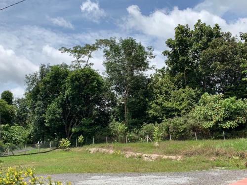 a field with trees and grass and a fence at Homestay Fida in Gerik