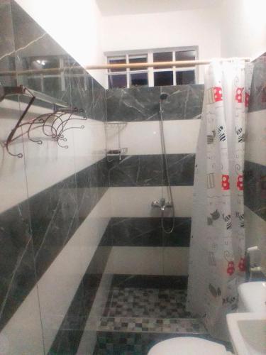 a bathroom with a shower and a toilet at Beny Cosy Studio in Rose Hill