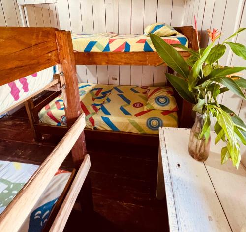 a room with two bunk beds and a potted plant at Casa Macondo Nuquí in Nuquí