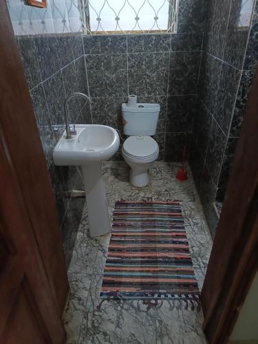 a bathroom with a toilet and a sink at Budget one bedroom apartment in Ibadan